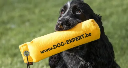 Dog - Expert professioneel trainingsmateriaal voor honden