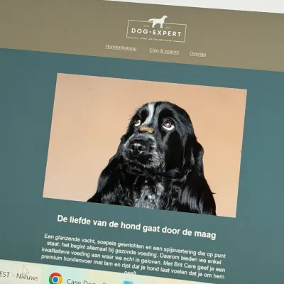 Nieuwsbrieven die scoren voor Dog - Expert